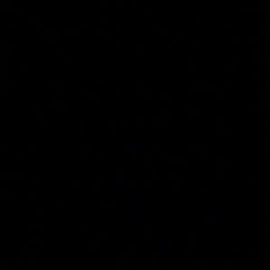 Meet your Posher, Brendaliz